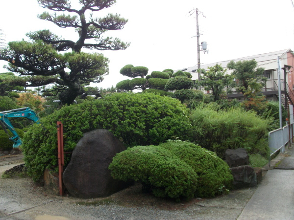 植木撤去処分工事