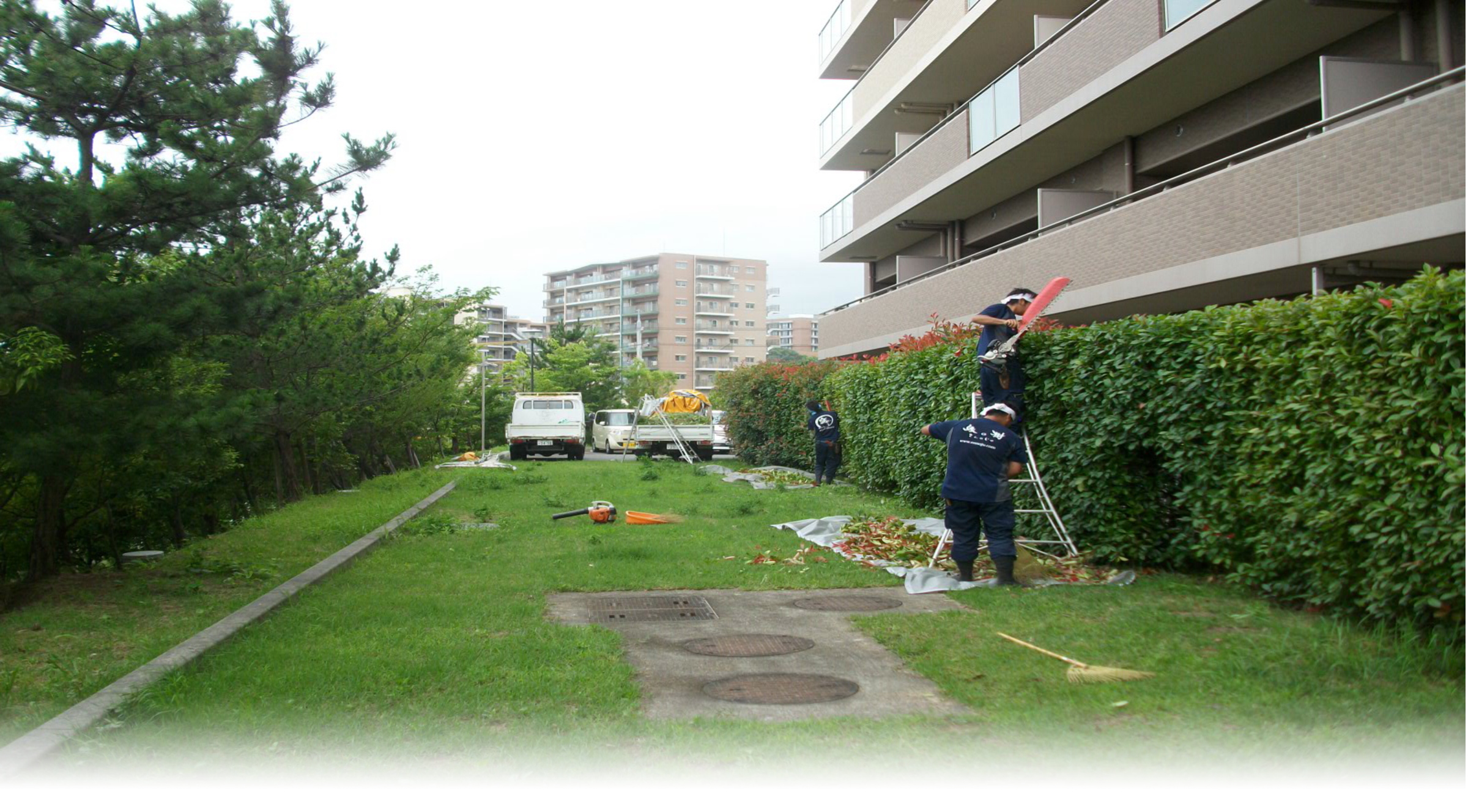 植栽管理の事ならお任せ下さい。